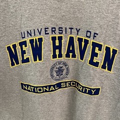 Champion University Of New Haven Tee T Shirt Men XL Gray Grey National Security