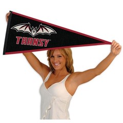 Transylvania University Pioneers 12 in X 30 in College Pennant