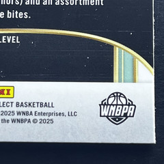 Betnijah Laney-Hamilton Silver Party Prizm SP 2025 Panini WNBA Select Premier