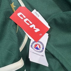 Eric Staal Iowa Wild CCM AHL Hockey Jersey – Large