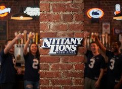 Penn State Nittany Lions 3D Wall Desk Shelf Sign NCAA Man Cave