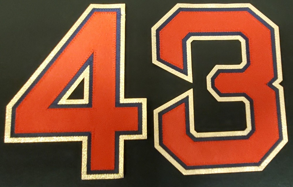 Boston Red Sox MLB home World Champs jersey authentic lettering kit ANY NUMBER