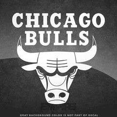 Chicago Bulls NBA Logo Vinyl Decal Sticker – 4&Prime; and Larger – 30+ Color Options!
