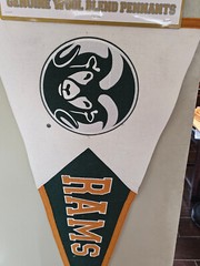 COLORADO STATE RAMS CSU Gold And Green Embroidered WOOL BLEND Pennant 17X40