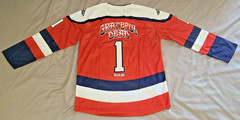 Adult Small Grateful Dead Washington Capitals replica Hockey Jersey NHL hockey