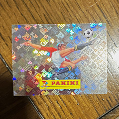 Panini Soccer Player Portrait Hologram Holographic Foil Sports Sticker Single