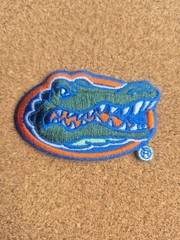 Pack Of 50 Florida Gators 1-1/2&Prime; x 2 1/4&Prime;