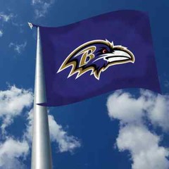 Ravens Flag 3X5 Baltimore Raven Banner NFL American Football Fast USA Shipping