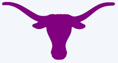Texas Longhorns Vinyl Decal Sticker – You choose color and size