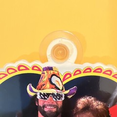 Coliseum Video WWF SUMMERSLAM 1991 Macho Man Miss Elizabeth Window Cling – RARE!