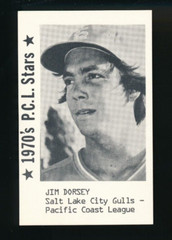 1979 Cramer 1970&rsquo;s P.C.L. Stars Jim Dorsey Salt Lake City gulls super rare