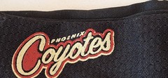 Phoenix coyotes JERSEY fanband head band