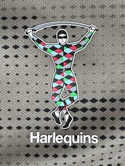 Adidas Harlequins 2021/22 Rugby Jersey Kids 11-12 Years L Third European DHL