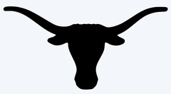 Texas Longhorns Vinyl Decal Sticker – You choose color and size