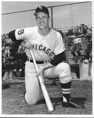 Pete Ward 8×10 Baseball Photo-Chicago White Sox
