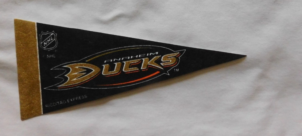 NHL Mini Pennant Rico Hockey Pick one #2