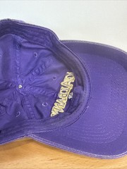 UAlbany Great Danes Hat Purple Adjustable Snapback Cap ML Caps University Albany