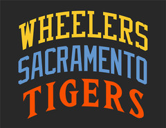 Straight or Arched Team Name Lettering Tackle Twill Pro Cut for Uniform Jersey