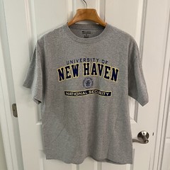 Champion University Of New Haven Tee T Shirt Men XL Gray Grey National Security