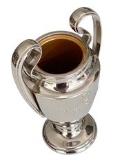 Official UEFA Champions League 3D Replica Trophy Licenced 150mm 1996 ECL Rare