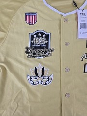 VTG Mitchell And Ness Negro Mens Large Basketball All Star Jersey Gold NWT