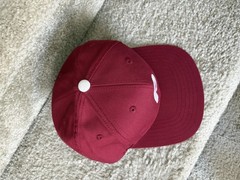 Vintage Philadelphia Phillies Hat American Needle Cooperstown SnapBack Rare cap