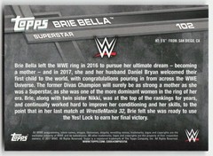 2017 Topps WWE Then Now Forever Bronze Brie Bella #102