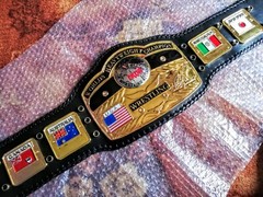 NWA DOMED GLOBE WORLD HEAVYWEIGHT CHAMPIONSHIP BELT ADULT SIZE 4MM ZINC