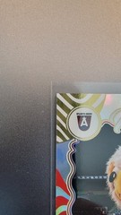 2025 WNBA Donruss Mascots Atlanta Dream Star #13 SSP – Pls read description