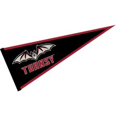 Transylvania University Pioneers 12 in X 30 in College Pennant