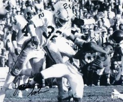 1- JACK TATUM OAKLAND RAIDERS 8X10 REPRINT AUTO PHOTO (#2)