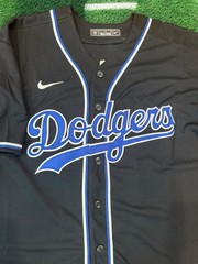 NEW Freddie Freeman Dodgers 2025 World Series Jersey! SHIPS SAME DAY!
