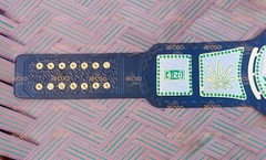 SMOKER STONER WEED 420 DUAL PLATED WRESTLING CHAMPIONSHIP BELT 2MM ADULT SIZE
