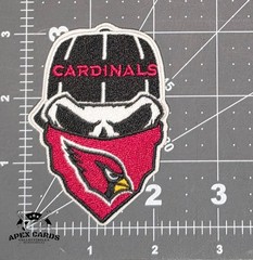 NFL Team Skull Patch Embroidered Iron On Sew On Football Patches