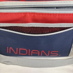 Cleveland Indians Insulated Lunch Bag 9x7x7 Inches Logobrands MLBP Free Shipping