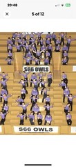 FOR SUBBUTEO/ZEUGO 50 NEW SEATED FANS*All Teams Available*