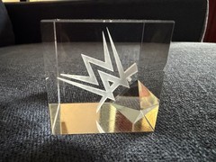 WWE Paperweight clear – Rare World Wrestling Entertainment