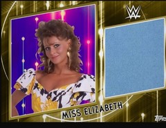 2021 WWE SLAM DIGITAL Legendary Gold Mat Relic Miss Elizabeth