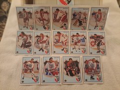 1990-91 Upper Deck French Hockey Complete Set Mint,Individually Sleeved, The…