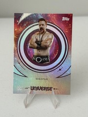 2025 Topps UNIVERSE WWE Wrestling Cards #1-200 You Pick/Choose! READ*
