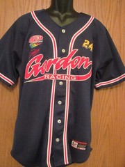 JEFF GORDON Racing Baseball Jersey, Navy Blue, Red and White Striping, L