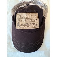 University Of Wyoming Cowboys Leather Patch Vented Netting Champion Hat