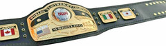 NWA DOMED GLOBE WORLD HEAVYWEIGHT CHAMPIONSHIP BELT BRASS REPLICA ADULT SIZE