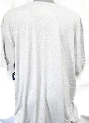 Mens Champion NCAA Notre Dame Fighting Irish 1842 Big & Tall Grey Tee T-Shirt
