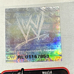 Extremely Rare World Wrestling Entertainment WWE Raw Inflatable Travel Bed Read