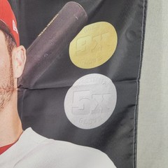 MLB St Louis Cardinals Nolan Arenado #28 Height Chart Banner DairyMilk Promo NEW
