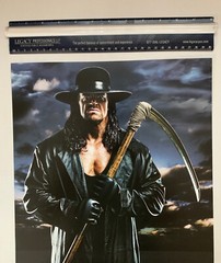 WWF WWE Poster The Undertaker Backlash 2008 4/27/08 Pro Wrestling 12” x 16”