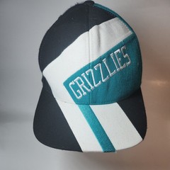 GRIZZLIES VINTAGE Mitchell & Ness Teal NBA Vancouver Grizzlies Hardwood Block