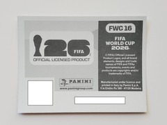 2026 Panini FIFA World Cup Team Photo 2002 Brazil Hologram Foil Sticker FWC16