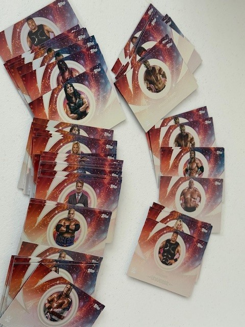 2025 Topps UNIVERSE WWE Wrestling Cards #1-200 You Pick/Choose! READ*